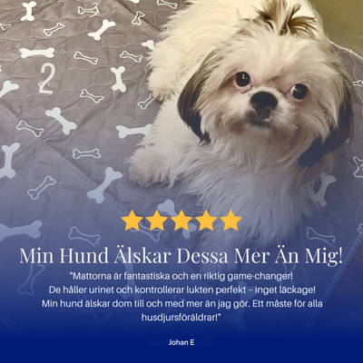 Valpmatta - Den Enda Kissmattan Du Behöver