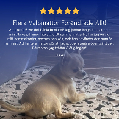 Valpmatta - Den Enda Kissmattan Du Behöver